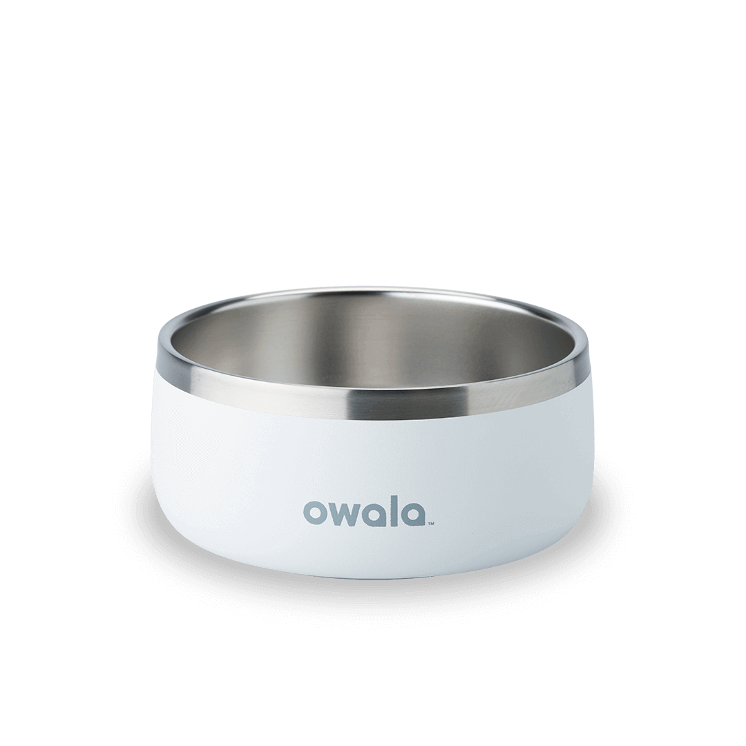 Pet Bowl [MTJ9]